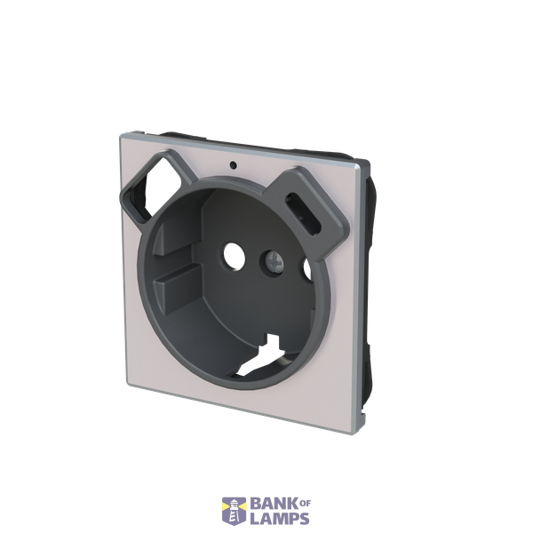 Cover Schuko + USB A+C image 2