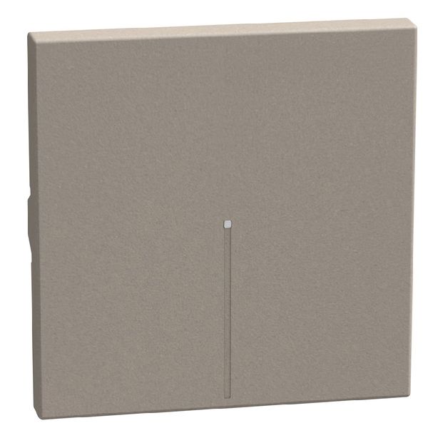 Light Now - switch cover 2m ax stone image 1