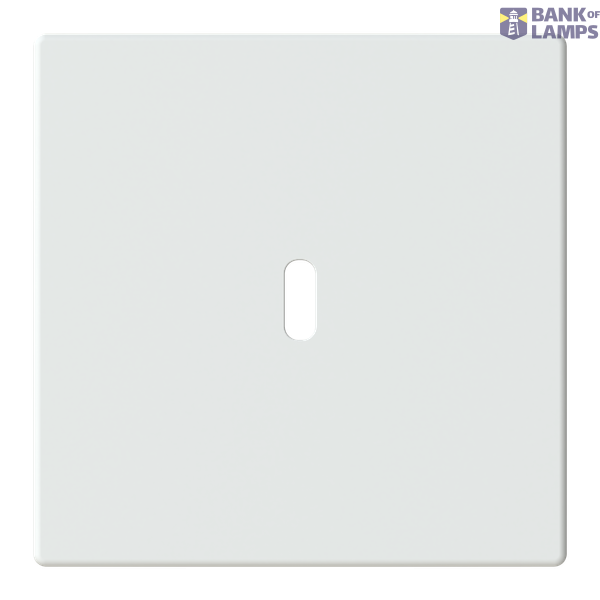 6479-884-500 Cover plate for USB C power adapter image 1