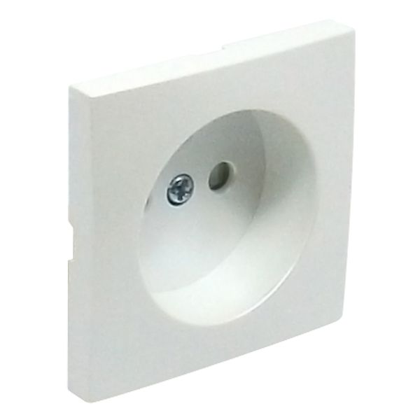 SAFETY C.PLAT F/EARTH SOCKET (FRENCH) ICE image 2