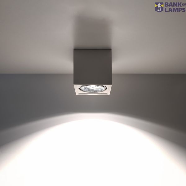 CERAMIC SPOT SEIDA GU10/ES111 1X40W IP20 image 6