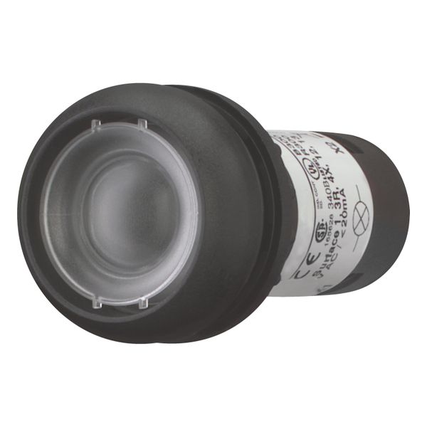 Illuminated pushbutton actuator, Flat, momentary, 1 N/O, Screw connection, LED Blue, Without button plate, 24 V AC/DC, Bezel: black image 8