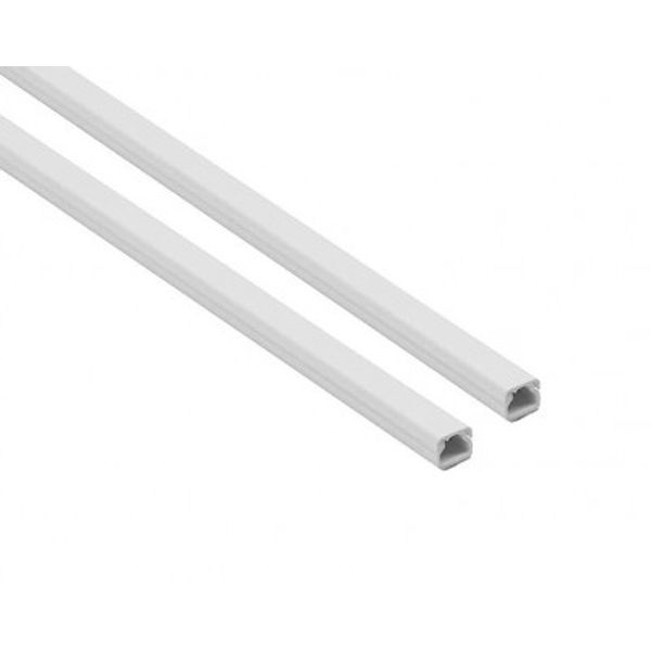 10X10 TRUNKING WHITE image 1