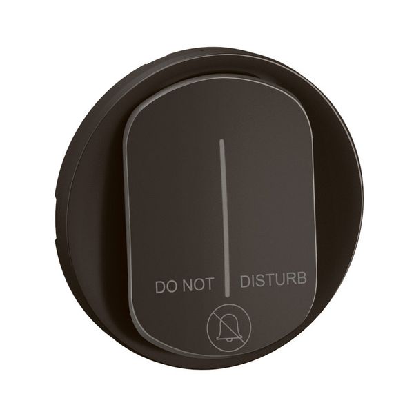 INDICATOR LAMP ROCKER BLACK image 3