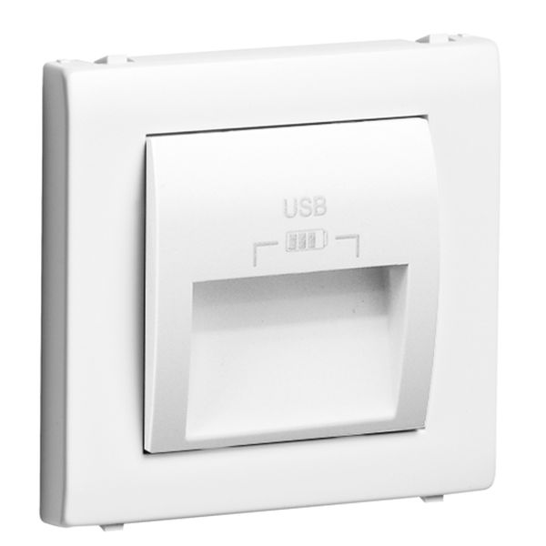 C PLATE DOUB USB CHARG TYPE A 20° OUTPUT WH image 1