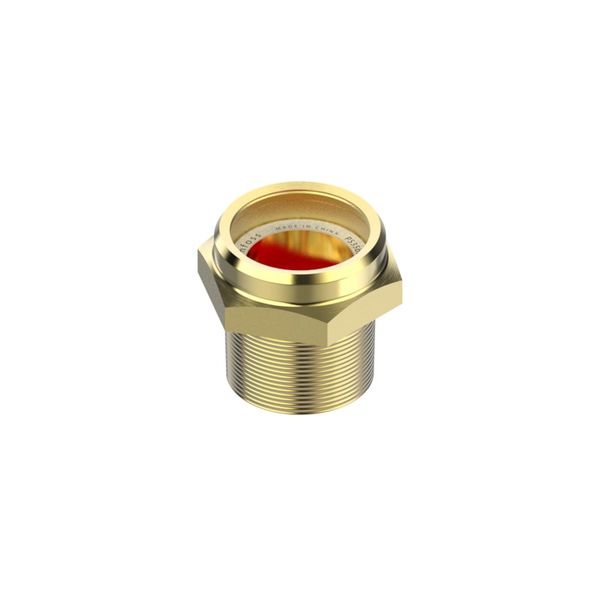 Sight glass socket, SGR, 3/4 in, NPT image 1