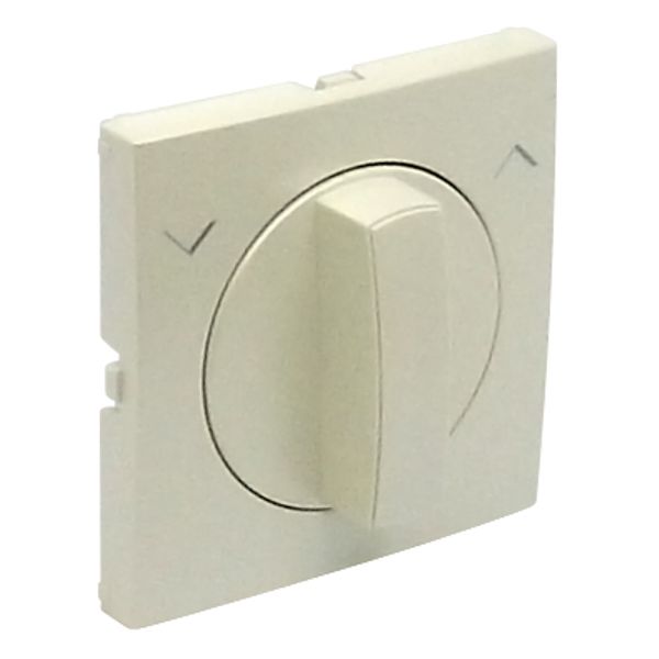 C.PLAT F/ROTARY PUSH-BUT/TWO-WAY SWITCH PEARL image 2