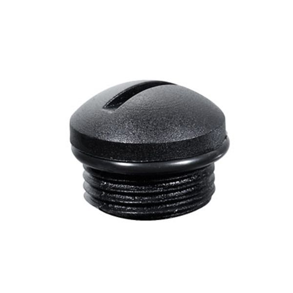 Protected component assemblies, Protective cap image 2