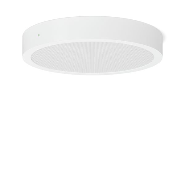TOLEDO FLAT+ round, 25...36 W, 2600...3800 lm, 830, 840, white, on/off image 2