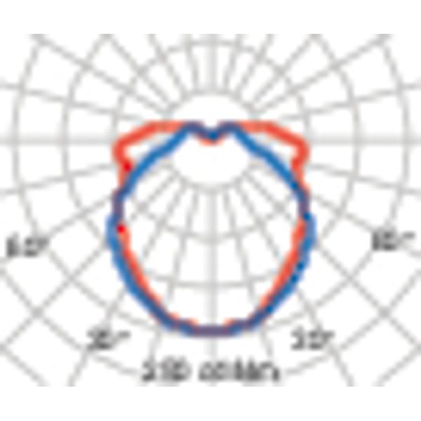 LANTERNA NK21 9,5 S/EW 830 ROESTBRUIN image 7