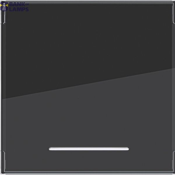 Rocker single, large text field, clear lens, A.x/C.x, night black glass. image 1