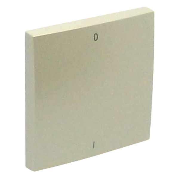 ROCKER F/TWO-POLE SWITCH PEARL image 1