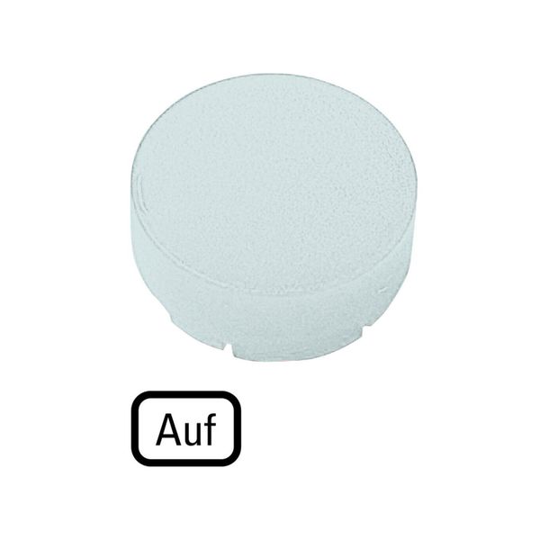 M22-XDLH-W-D3 Button lens, raised white, AUF image 3