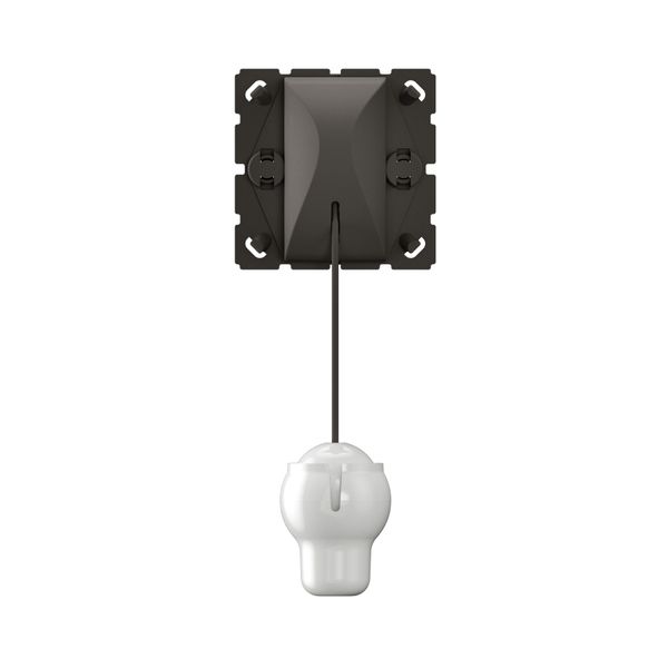 6A 2 WAYS PULL-CORD PUSH BUTTON image 4