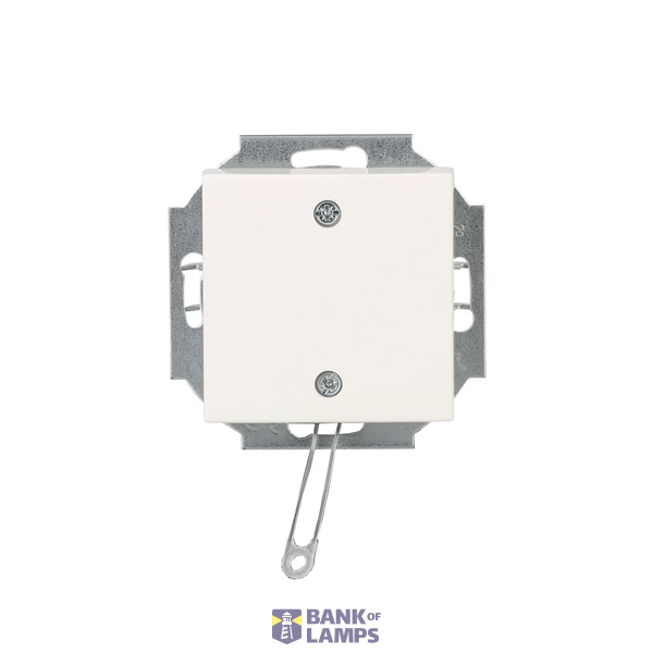 Pull Switch SI-B-alpine white image 4