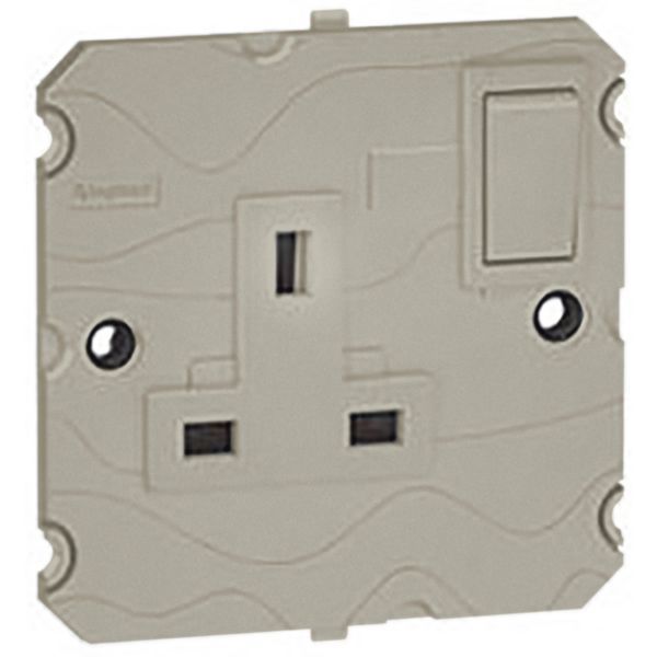 Arteor 1 Gang 5A Double Pole Switched Socket Outlet Champagne image 1