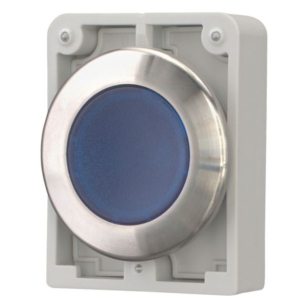M30I-FDL-B Illuminated pushbutton actuator, RMQ-Titan, flat, momentary, Blue, blank, Front ring stainless steel image 5