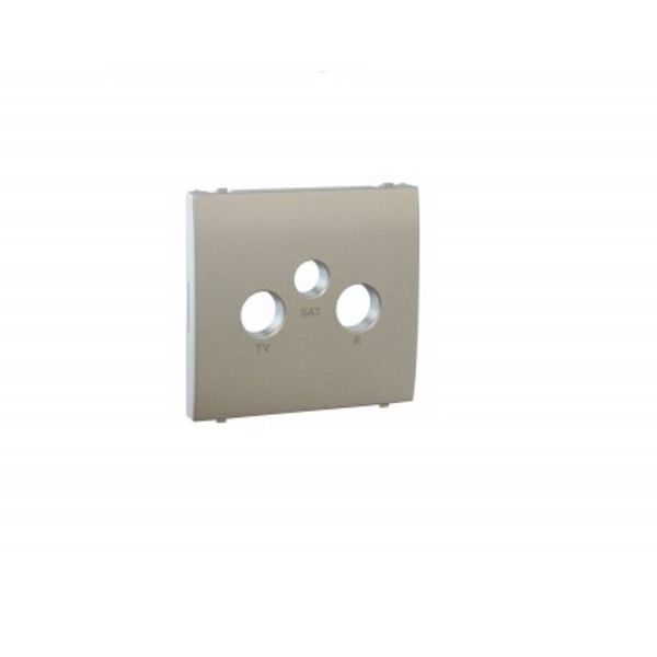 COVER PLATE FOR R-TV-SAT SOCKETS SILVER image 1