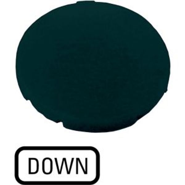 M22-XD-S-GB4 Button plate, flat black, DOWN image 4