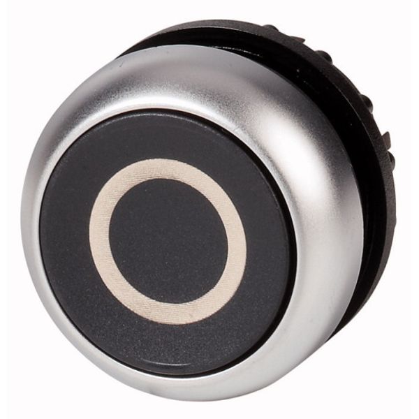 M22-DR-S-X0 Pushbutton, RMQ-Titan, Flat, maintained, black, inscribed, Bezel: titanium image 1