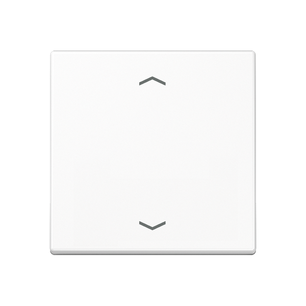 LB Management push-button 1-gang A1700PWW image 1