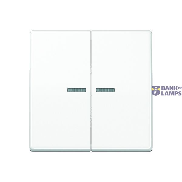 Centre plate AS591-01 image 1