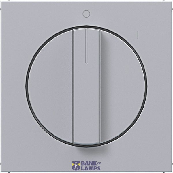 Central plate rotary switch, with markings 0-1, A.x/C.x titanium image 1