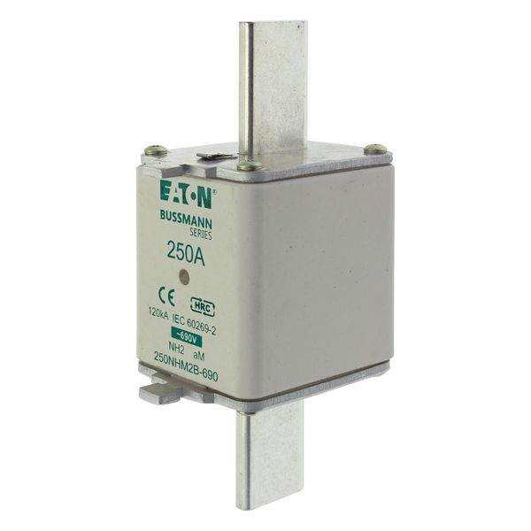 Fuse-link, LV, 250 A, AC 690 V, NH2, aM, IEC, dual indicator, live gripping lugs image 2