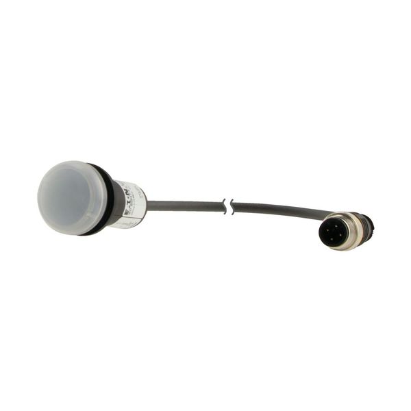 C22-L-W-24-P1 Indicator light, Flat, Cable (black) with M12A plug, 4 pole, 0.2 m, Lens white, LED white, 24 V AC/DC image 9