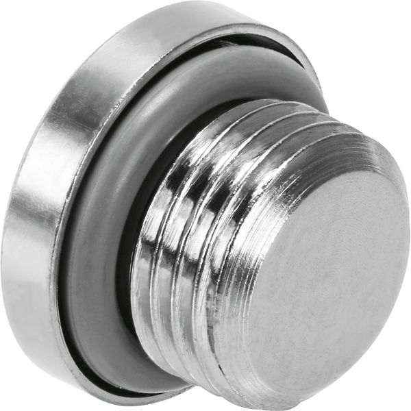 NPQH-BK-G38-P10 blanking screw image 1