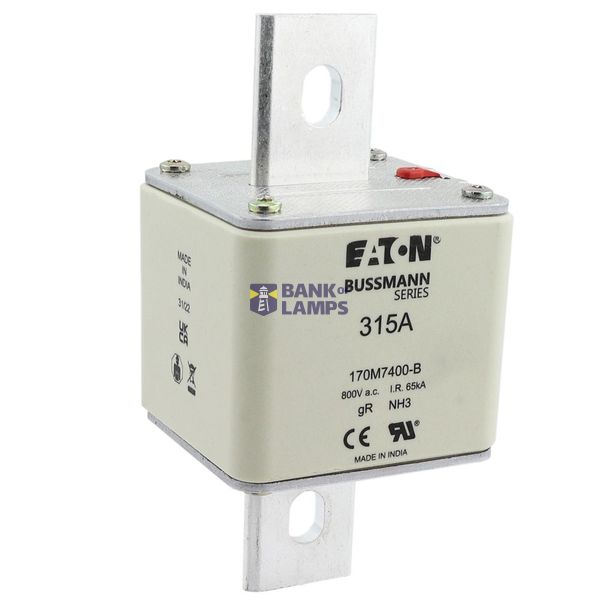 FUSE 315A 800V AC gR SIZE3 BOLTED TAG DI image 3