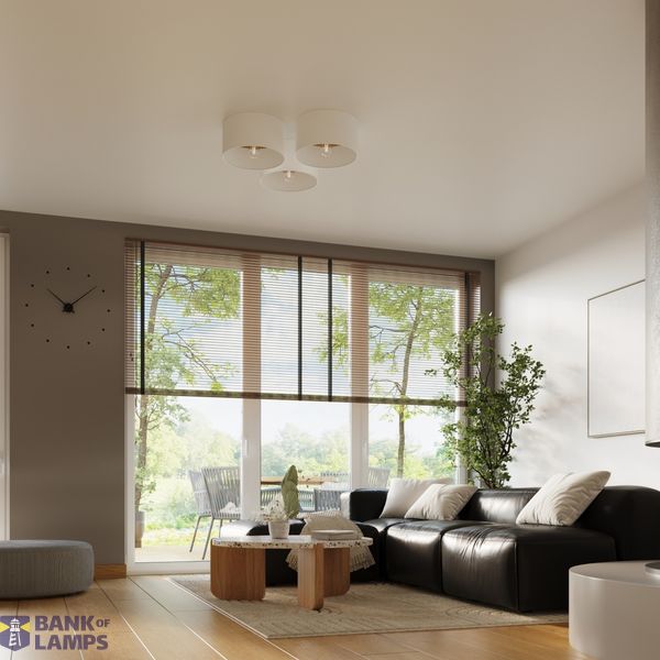 Ceiling lamp TELESTO white/light brown image 9