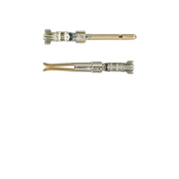 Heavy-duty connectors, Crimp contact, CM 20, Pin, Conductor cross-section, max.: 0.52, punched, Copper alloy image 1