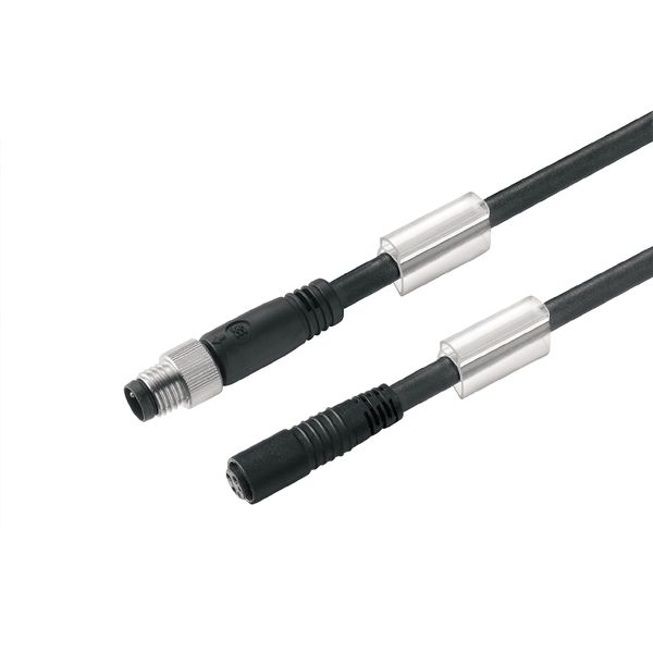 Sensor/actuator line, Connecting line, M8 / M8, Number of poles : 4, 3 m, pin, straight - socket, straight, Shielded: No, LED: No, Sheath material: PUR, Halogen: No image 1