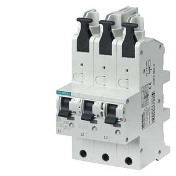 Main miniature circuit breaker (SHU), 3x 1-pole, E 40 A, 230/400 V image 2