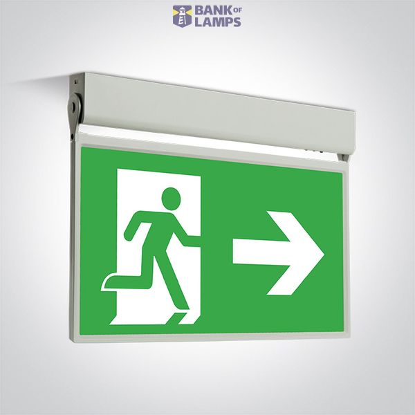 89414/W WHITE WALL/CEILING EMERGENCY 0,5W IP20 M3h image 1
