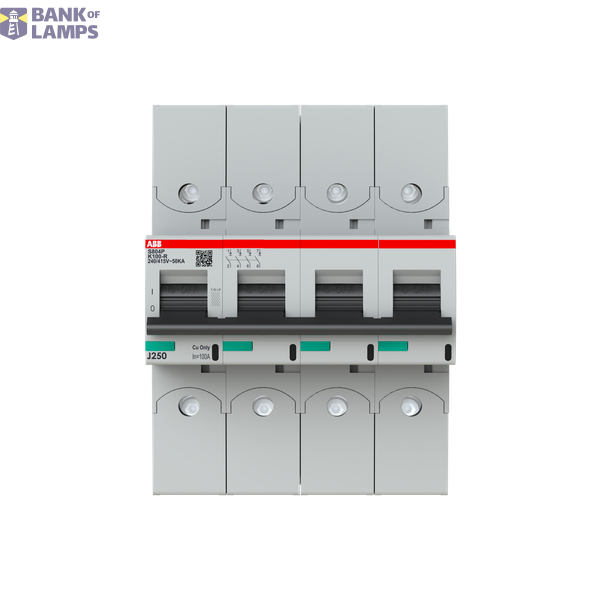 S804P-K100-R circuit breaker image 1