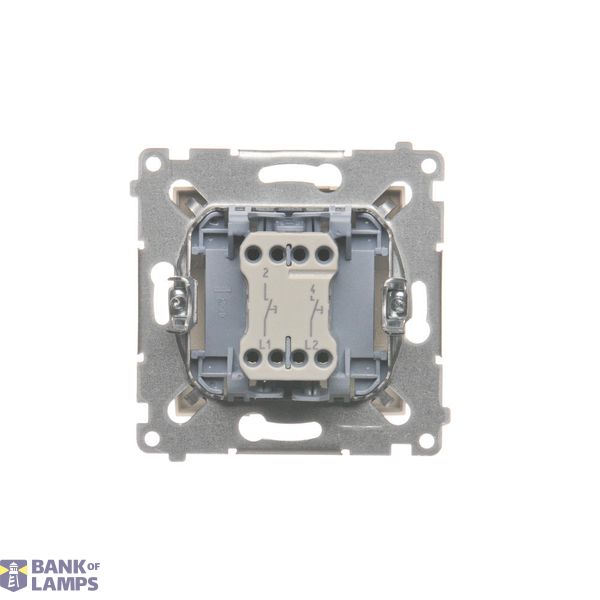 IP44 socket outlet with Schuko earthing, shutters and frame seal - transparent flap, (module), 16A, 250V, Screw, white image 1