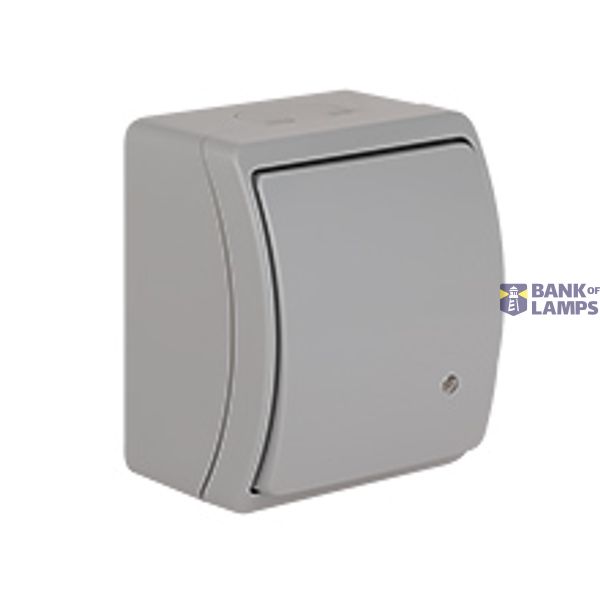 VW-1L Koala Single Pole Switch with illumination surface mounted IP44 gray VW 151-53 image 1