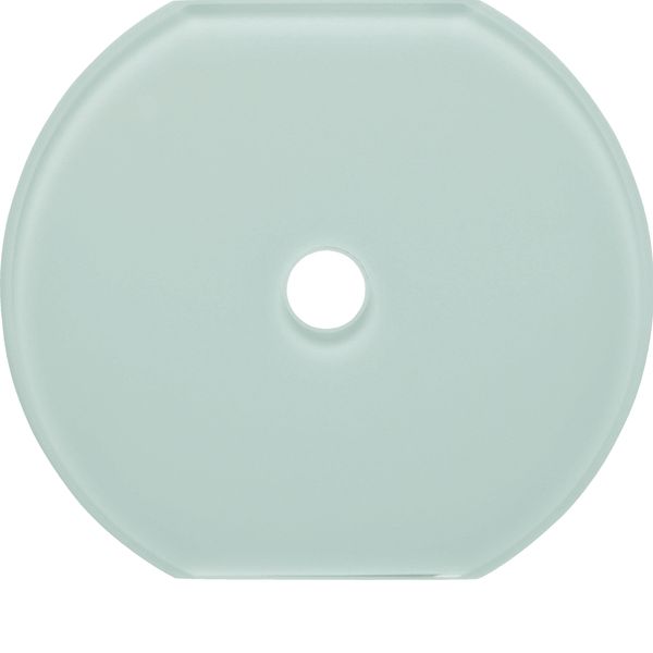 Glass cover centre plate for rot. switch/spring-return push-button image 2