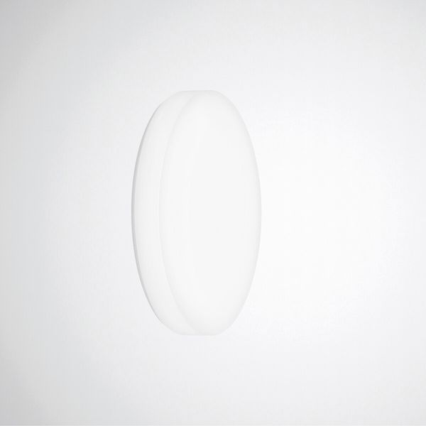 Wall and ceiling luminaire Olisq R Diffuser White around ET 44W 4800lm Lambertian (L) IP54 IK06 3 SDCM image 1