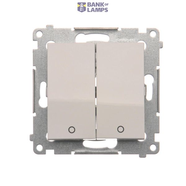 Double 2-pole switch, (module), 16AX, Screw, white image 1