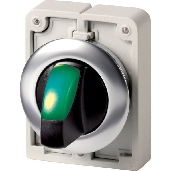 M30I-FWLK-G Illuminated selector switch actuator, RMQ-Titan, with thumb-grip, momentary, 2 positions, green, Front ring stainless steel image 3