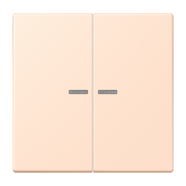 JUNG HOME push-button 2-gang BTLC17102228 image 1