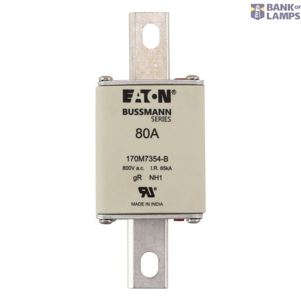 FUSE 80A 800V AC gR SIZE 1 BOLTED TAG DI image 20