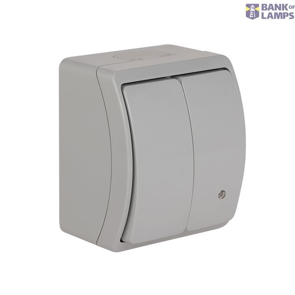 VW-2L Koala Two-Circuit Switch with illumination surface mounted IP44 gray VW 152-53 image 1