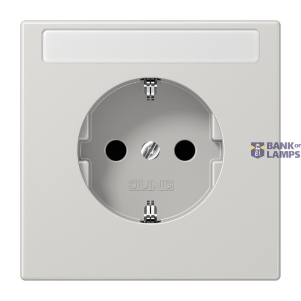 SCHUKO socket, 16 A 250 V ~, with label, Duroplast, LS series, light grey image 1
