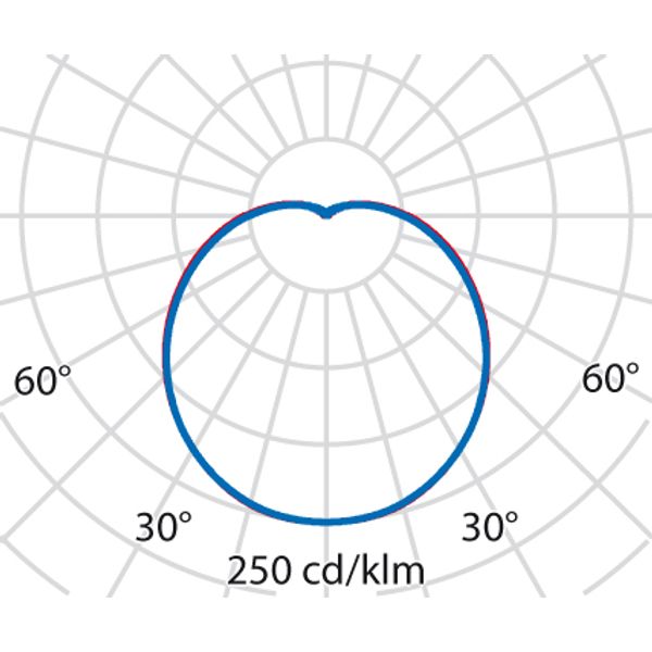 CHIP TONDO 30 LED 830 WIT 16,5W image 6