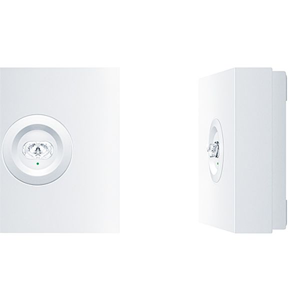 RESCLITE PRO MSW ESCW E8D WH - Safety luminaire image 1