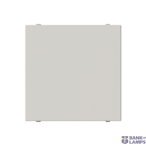 Blank cover plate - 2M - Dune image 1